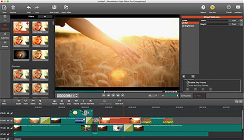 MovieMator  Video  Editor  Pro