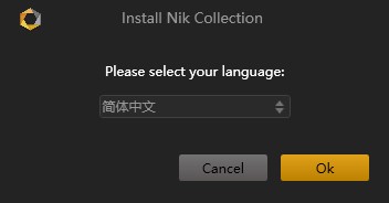 Nik  Collection2021破解文件