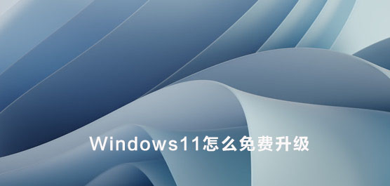 Windows11ôWin10