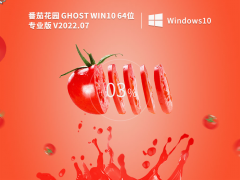 ѻ԰ Ghost Win10 64λ ȫרҵ V2022.07