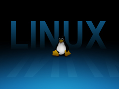 LinuxװԿֱ޷ʾô죿