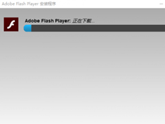 Flash PlayerôװFlash Playerװ