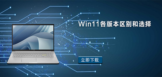 Win11汾ѡ