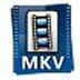 MKVƵʽת V3.80.506 ٷװ