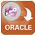 AccessToOracle(Accessתoracle) V3.7 Ӣİװ