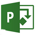 Microsoft Project 2020 V2020 Ѱ