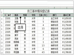 Excel2019ôԶɸѡExcel2019Զɸѡݵķ