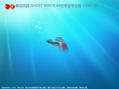 ѻ԰ GHOST WIN10 64λȫרҵ V2021.01