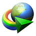 Internet Download Manager(IDM) V6.38.17.2 ɫ