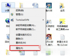 Win7콢ôþ飿