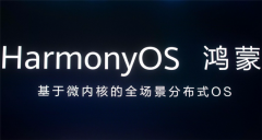 100HarmonyOS 2.0Betaʱ죡