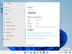 Win11Windows11ʲôʱʽ