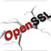 OpenSSL V1.10 Ѱ