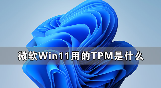 ΢Win11õTPMʲô йTPMϸ