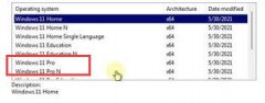 Win11 proʲô汾Win11 pro