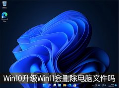 Win10Win11ɾļ