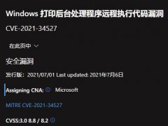 ΢Windows£޸PrintNightmare©