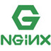 Nginx(Web) V1.21.1 ȶ