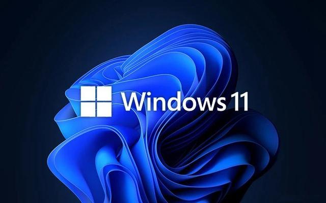 Win11װʲô汾 Win11ѡʲô汾