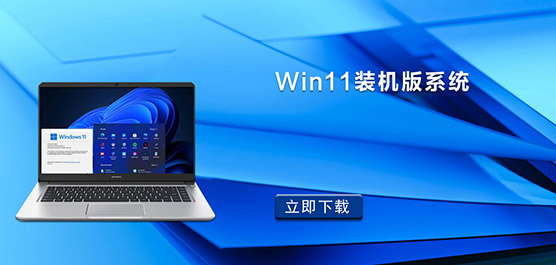 Win11װϵͳ_Win11װϵͳ