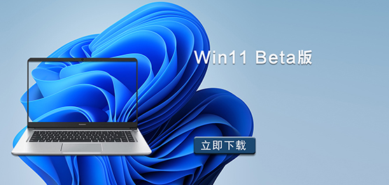 Win11 Beta_Win11 Beta_