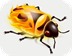 FireBug V3.0.11 ٷ°