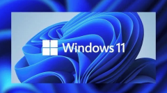 ʹWindows10˫Windows11