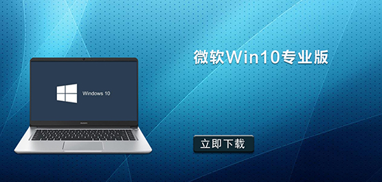 ΢Win10רҵ