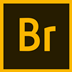 Adobe Bridge 2021 V11.1.1.185 ٷ°