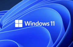 Win11Ϸʲô汾ȽϺãWin11ĸ汾ʺϴϷ