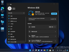 ΢Windows 11 lnsider Preview 22458.1000(rs_prerelease)·