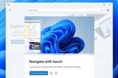 ΢TipsӦ Windows11ոʹС