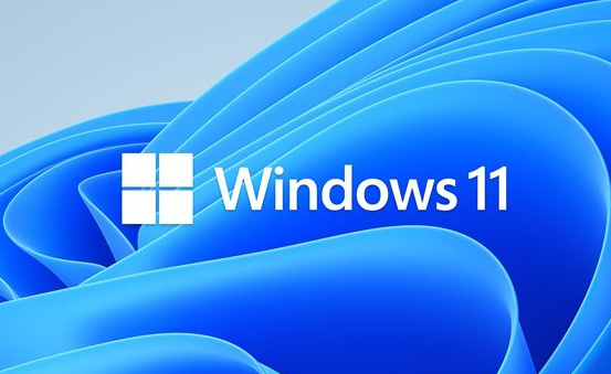 Win11ʽĸ汾 Win11ʽ