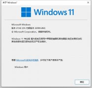 ذµױ΢Win11ϵͳ