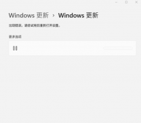 ûWin11 22494.1000Windows¿հף