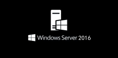 ΢Win server 2016 KB5008601(14393.4771)ˣ