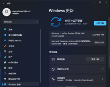 ΢Win11 KB5008697(22504.1010)DevԤ淢