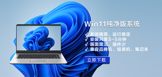 Win11_Win11ϵͳ_