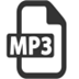 Zortam Mp3 Media Studio Pro V29.05 Ѱ