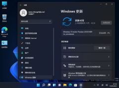 ΢Win11 DevԤ22533ISO