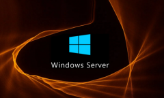 ΢شƳµWindows Server