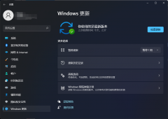 ΢Win11 KB5008353(22000.466)(ĸ)