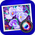 JixiPix Spektrel Art(ͼƬ񻯹) V1.1.11 Ѱ