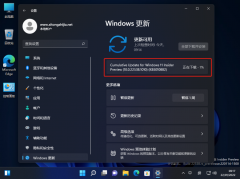 ΢Win11 KB5010882(22538.1010)Ԥ