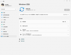 ΢Win11 KB5010386(22000.493)ʽ油