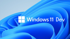 ΢Win11 Dev InsidersƳ¹