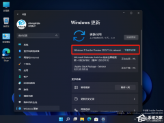 ΢Win11 Builds 22557.1(ni_release)Ԥ淢