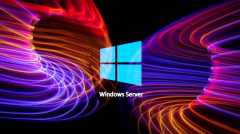 ΢LSASSWindows