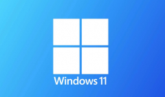 ΢ŵWindows 11Ӧó