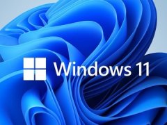 Win11רҵվôWin11רҵվרҵ